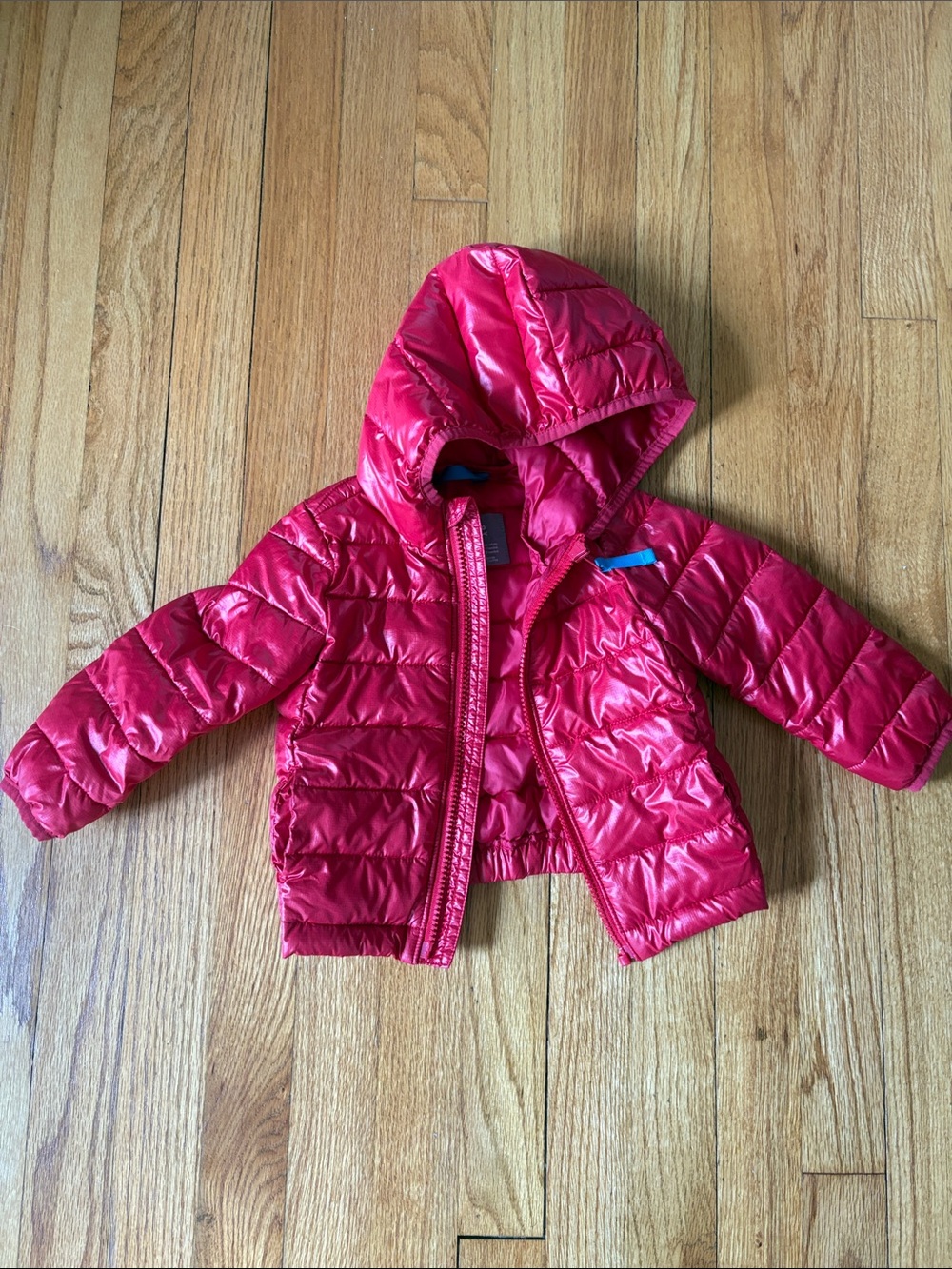Primary Red Hooded Puffer Jacket